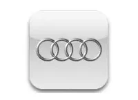 AUDI Carbon Fiber, Wooden look dash trim kits