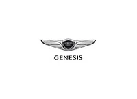 GENESIS Carbon Fiber, Wooden look dash trim kits