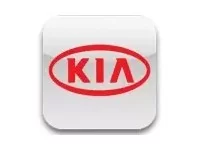 KIA Carbon Fiber, Wooden look dash trim kits