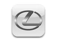 LEXUS Carbon Fiber, Wooden look dash trim kits
