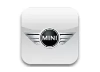 MINI Carbon Fiber, Wooden look dash trim kits