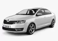 SKODA RAPID Carbon Fiber, Wooden look dash trim kits