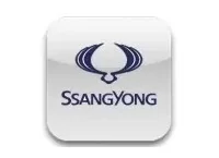 SSANGYONG Carbon Fiber, Wooden look dash trim kits