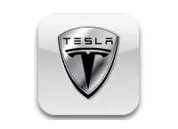TESLA Carbon Fiber, Wooden look dash trim kits