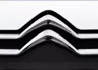 Vans Citroen Commercial Carbon Fiber, Wooden look dash trim kits
