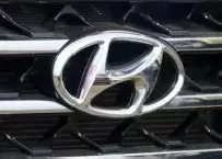 Vans Hyundai Carbon Fiber, Wooden look dash trim kits