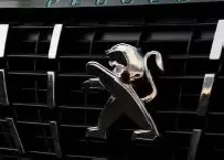 Peugeot Van Carbon Fiber, Wooden look dash trim kits